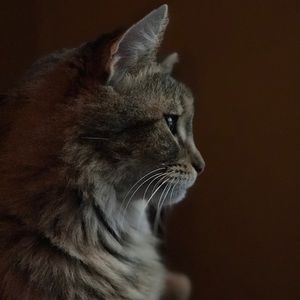 Meet your Posher, Jillian